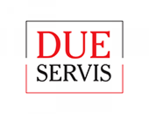 due servis logo